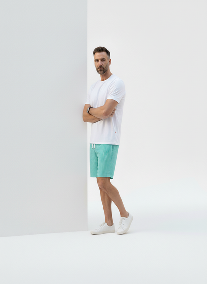 Lido Vertical Stripe Swim Shorts – Caspian's