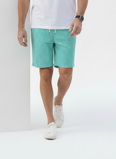 Lido Vertical Stripe Swim Shorts – Caspian's